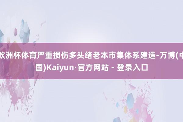 欧洲杯体育严重损伤多头绪老本市集体系建造-万博(中国)Kaiyun·官方网站 - 登录入口