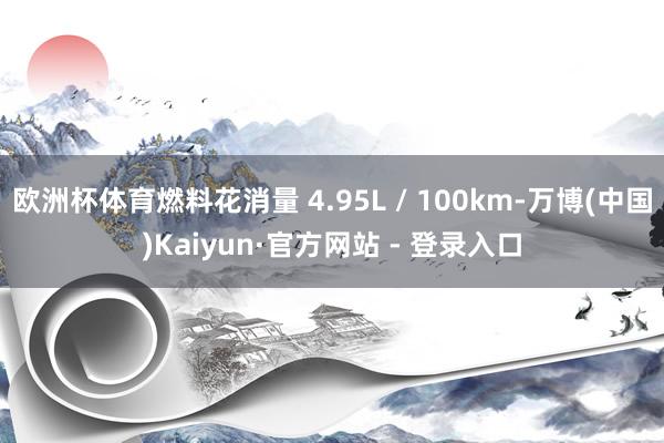 欧洲杯体育燃料花消量 4.95L / 100km-万博(中国)Kaiyun·官方网站 - 登录入口