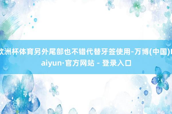 欧洲杯体育另外尾部也不错代替牙签使用-万博(中国)Kaiyun·官方网站 - 登录入口