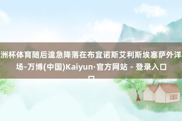 欧洲杯体育随后遑急降落在布宜诺斯艾利斯埃塞萨外洋机场-万博(中国)Kaiyun·官方网站 - 登录入口