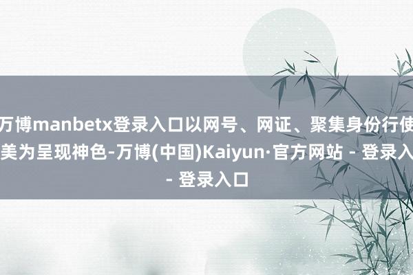 万博manbetx登录入口以网号、网证、聚集身份行使秀美为呈现神色-万博(中国)Kaiyun·官方网站 - 登录入口