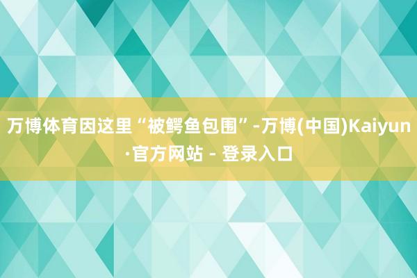 万博体育因这里“被鳄鱼包围”-万博(中国)Kaiyun·官方网站 - 登录入口