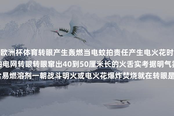 欧洲杯体育转眼产生轰燃当电蚊拍责任产生电火花时喷洒杀虫剂在战斗电蚊拍电网转眼转眼窜出40到50厘米长的火舌实考据明气雾罐类驱蚊居品因素多含易燃溶剂一朝战斗明火或电火花爆炸焚烧就在转眼是以千万不要鄙视这些驱蚊居品 稍不凝视可能激起失火发布于：北京市-万博(中国)Kaiyun·官方网站 - 登录入口